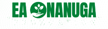EA Onanuga Foundation
