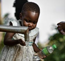 EAO Foundation - 223 x209 px