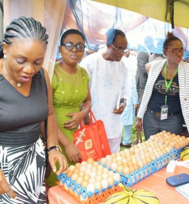 EAO Foundation Gallery 378 x 407px 1